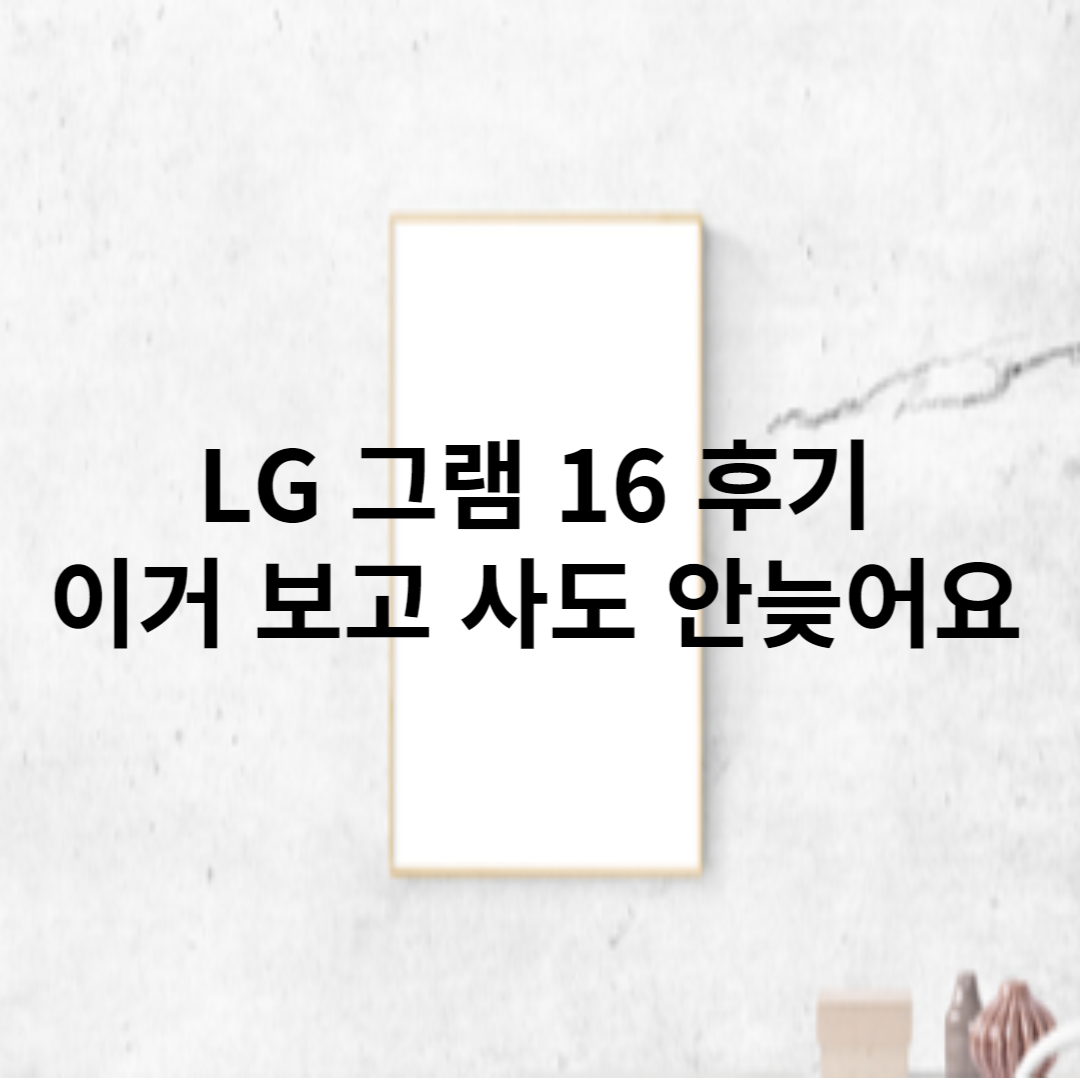 LG 그램 추천